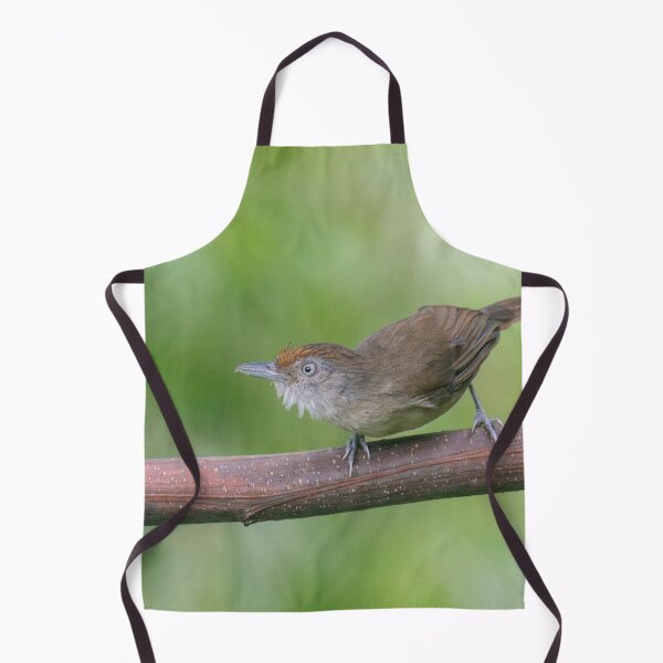 Item preview, Melodious Babbler designed and sold by GivernyKate.