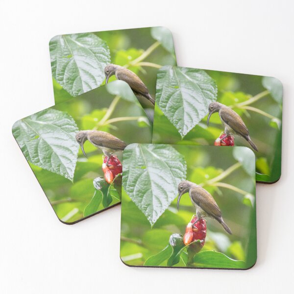 Item preview, Spiderhunter bird designed and sold by GivernyKate.