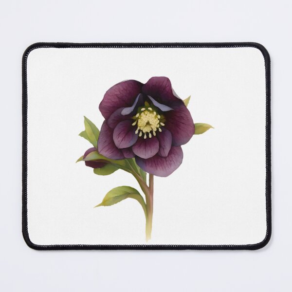 Item preview, Helleborus × hybridus designed and sold by HOMETOWN86.