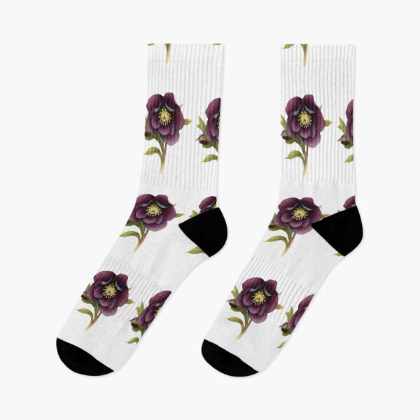 Item preview, Helleborus × hybridus designed and sold by HOMETOWN86.