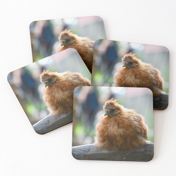 Item preview, Silkie chicken on a branch – curiosity and fluffiness / Swiss Artwork Photography designed and sold by Raphael Wolf.