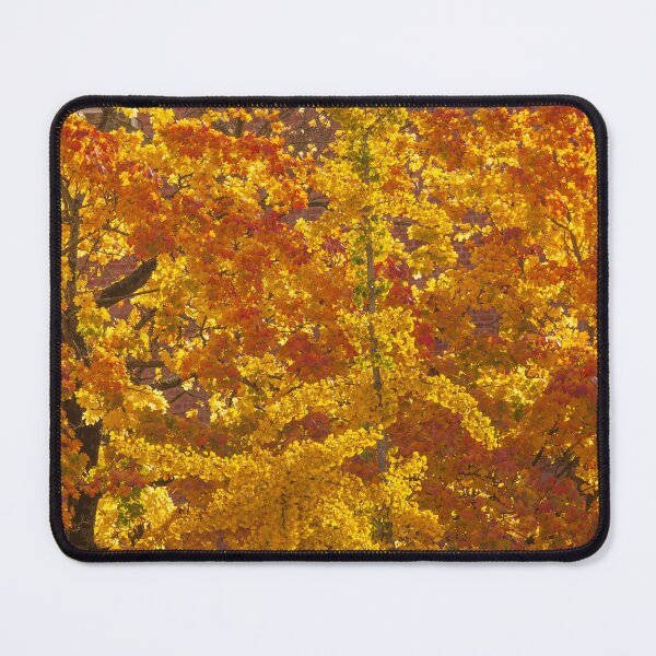 Item preview, Golden, colorful autumn leaves on a tree, Bremen, Germany designed and sold by Torsten Krüger.