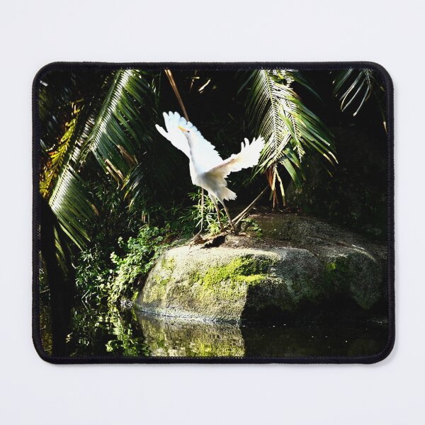 Item preview, White crane in the primeval forest – taking flight / Swiss Artwork Photography designed and sold by Raphael Wolf.