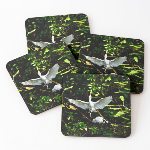 Item preview, Two white cranes in the primeval forest – nest building and flight splendor / Swiss Artwork Photography designed and sold by Raphael Wolf.