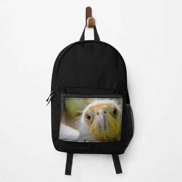 Item preview, Close-up of an Egyptian vulture – distinctive eyes and yellow beak / Swiss Artwork Photography designed and sold by Raphael Wolf.