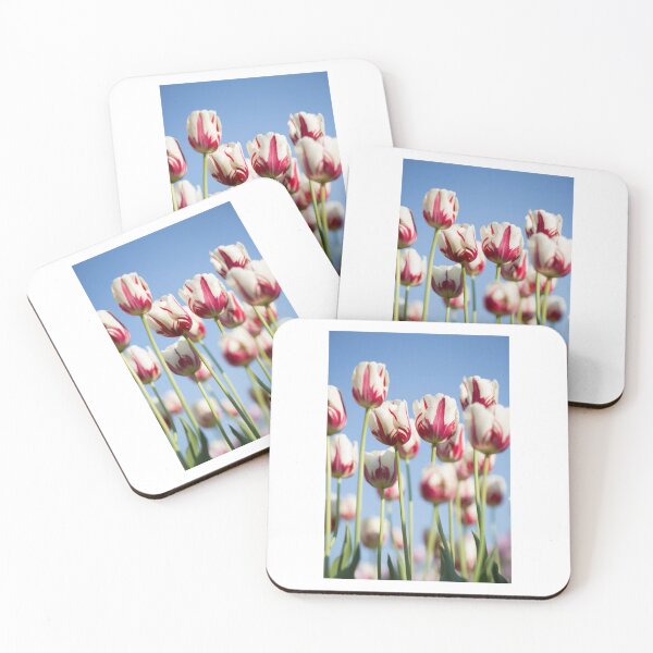 Item preview, Tulips Against Blue Sky Photographic Print designed and sold by Mother-Nature65.