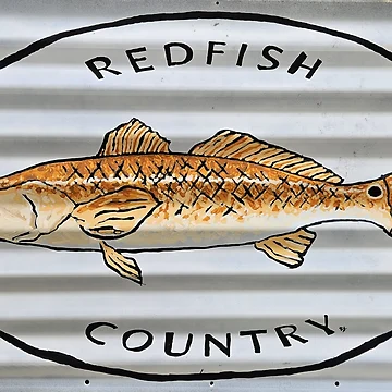 Artwork thumbnail, Redfish Country by RudyYoder