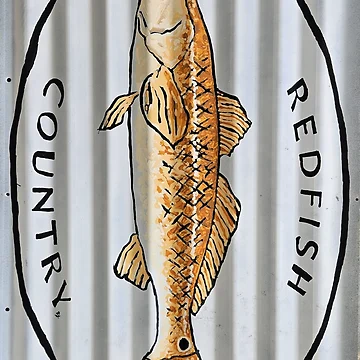 Artwork thumbnail, RedFish T Shirt by RudyYoder