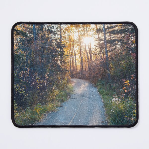 Item preview, Autumn Forest at Sunset in Alberta, Canada designed and sold by Amy Mitchell.