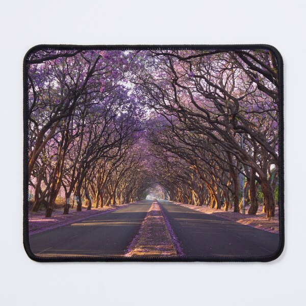 Item preview, Avenue of Jacarands in Bloom designed and sold by Tatenda Jinya.