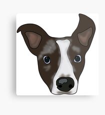 Skyler Metal Print