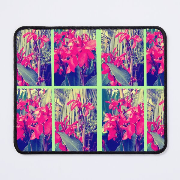Item preview, collage of photographs of cannes flowers designed and sold by Kacharava.