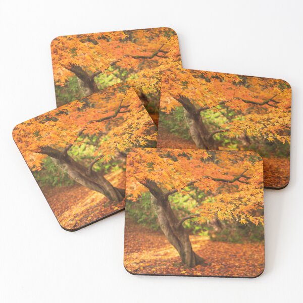 Item preview, Maple Autumn Beauty designed and sold by David Bowman.