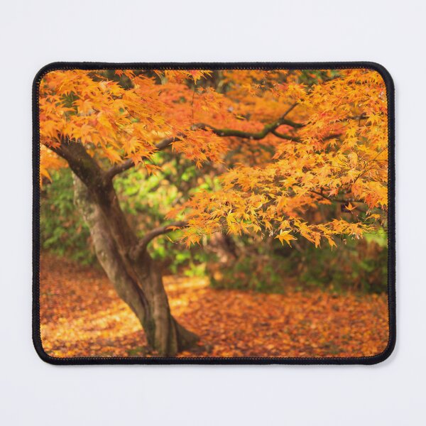 Item preview, Maple Autumn Beauty designed and sold by David Bowman.