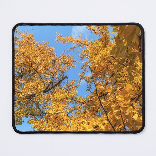 Item preview, Ginkgo tree autumn foliage designed and sold by aaronchoi.