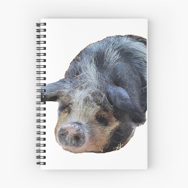 Item preview, Pig  designed and sold by Hallswood.