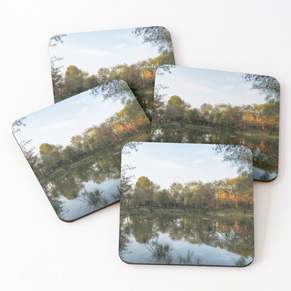 Item preview, Autumn Foliage in Seoul Childrens Grand Park designed and sold by aaronchoi.