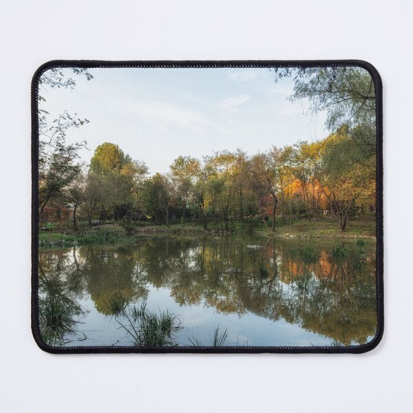 Item preview, Autumn Foliage in Seoul Childrens Grand Park designed and sold by aaronchoi.