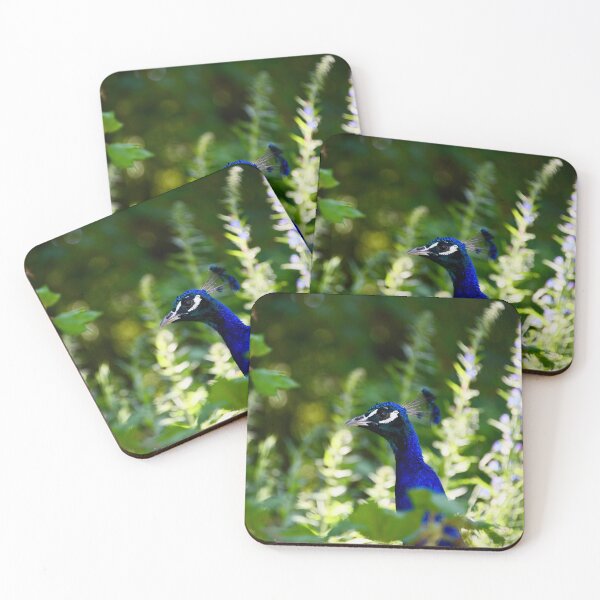 Item preview, A colorful peacock – vibrant elegance in the jungle thicket / Swiss Artwork Photography designed and sold by Raphael Wolf.
