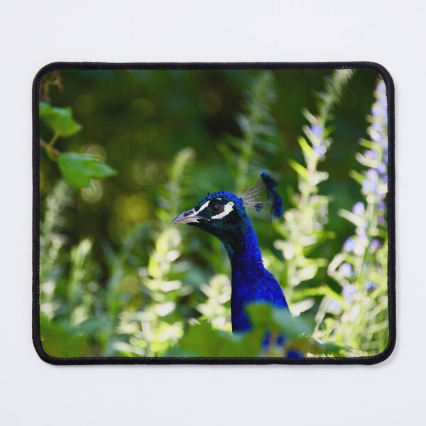 Item preview, A colorful peacock – vibrant elegance in the jungle thicket / Swiss Artwork Photography designed and sold by Raphael Wolf.