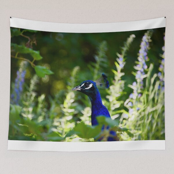 Item preview, A colorful peacock – vibrant elegance in the jungle thicket / Swiss Artwork Photography designed and sold by Raphael Wolf.
