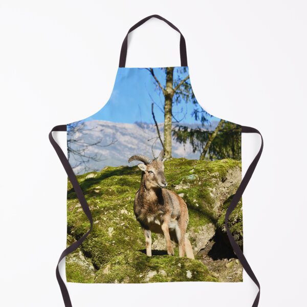Item preview, Young ibex in the Swiss Alps – Majesty of the Mountains / Swiss Artwork Photography designed and sold by Raphael Wolf.