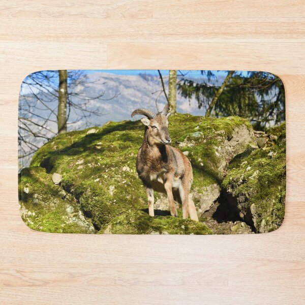Item preview, Young ibex in the Swiss Alps – Majesty of the Mountains / Swiss Artwork Photography designed and sold by Raphael Wolf.