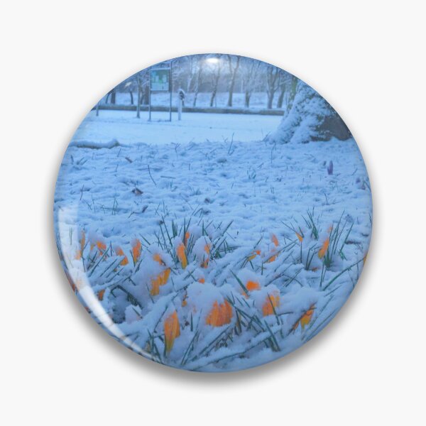 Item preview, Yellow Crocuses in Snow designed and sold by Violaman.