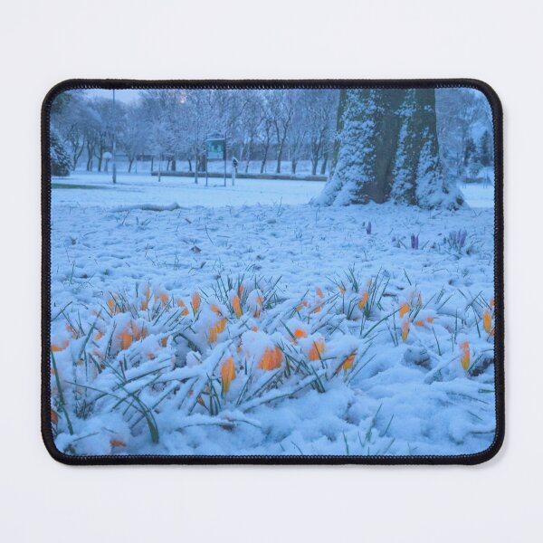 Item preview, Yellow Crocuses in Snow designed and sold by Violaman.