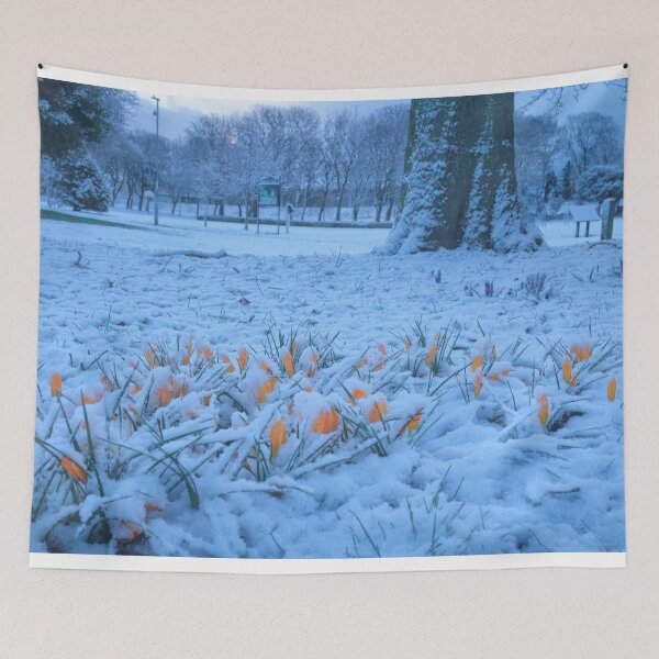 Item preview, Yellow Crocuses in Snow designed and sold by Violaman.