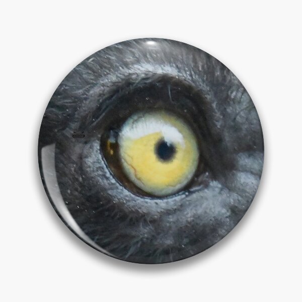 Item preview, Lemur in the rainforest – Focused gaze / Swiss Artwork Photography designed and sold by Raphael Wolf.