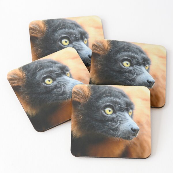 Item preview, Lemur in the rainforest – Focused gaze / Swiss Artwork Photography designed and sold by Raphael Wolf.