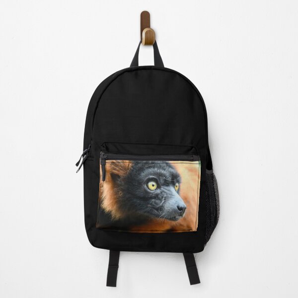 Item preview, Lemur in the rainforest – Focused gaze / Swiss Artwork Photography designed and sold by Raphael Wolf.