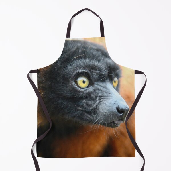 Item preview, Lemur in the rainforest – Focused gaze / Swiss Artwork Photography designed and sold by Raphael Wolf.