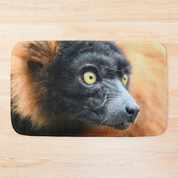 Item preview, Lemur in the rainforest – Focused gaze / Swiss Artwork Photography designed and sold by Raphael Wolf.
