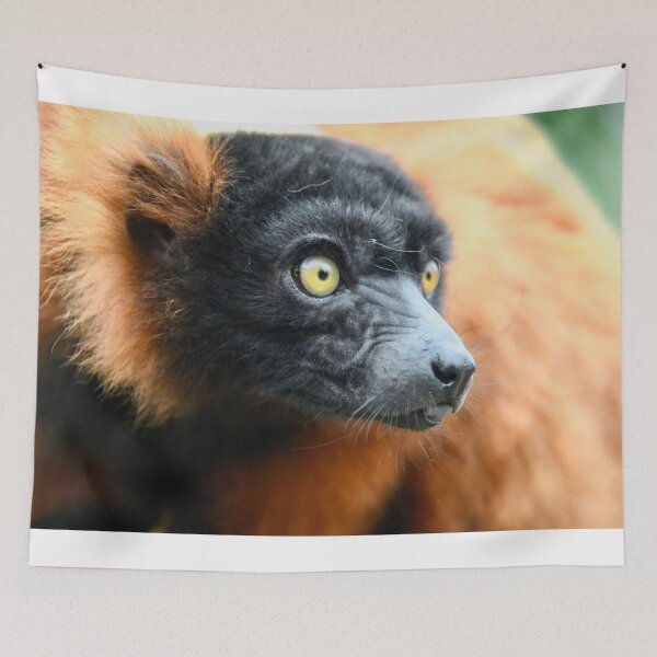 Item preview, Lemur in the rainforest – Focused gaze / Swiss Artwork Photography designed and sold by Raphael Wolf.