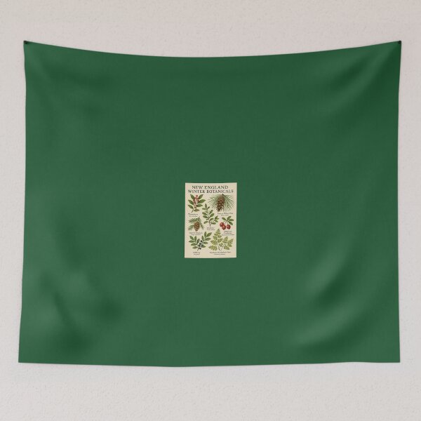 Item preview, New England Winter Botanicals — Vintage Botanical Poster designed and sold by Novel Works Studio.