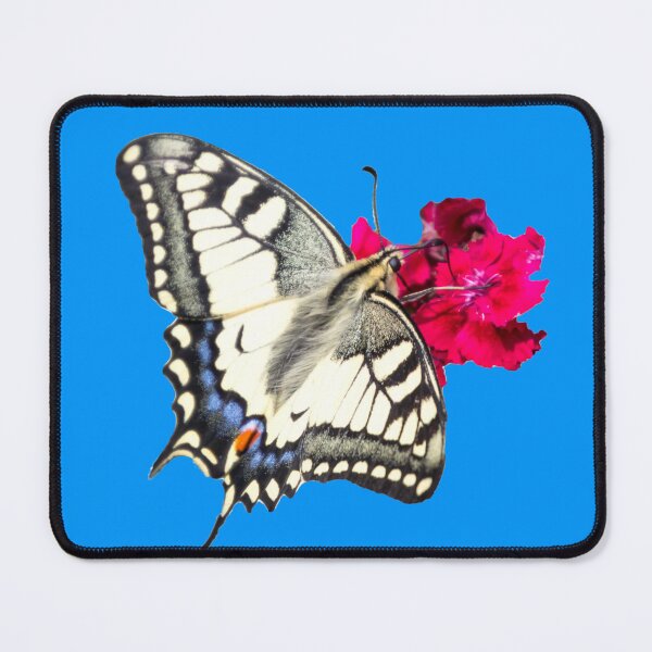 Item preview, Swallowtail - Inspiration, Transformation & Joy of Life designed and sold by Katja LebenFreude.