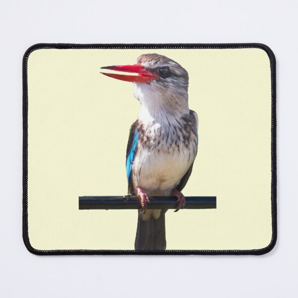 Item preview, Kingfisher designed and sold by Katja LebenFreude.