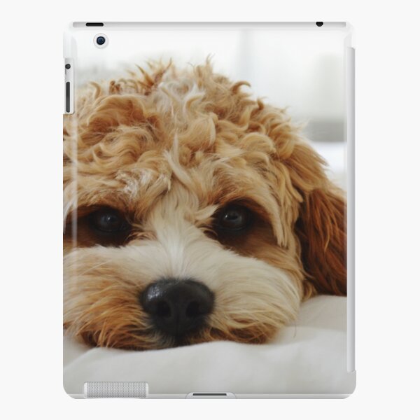 Charlie iPad Snap Case