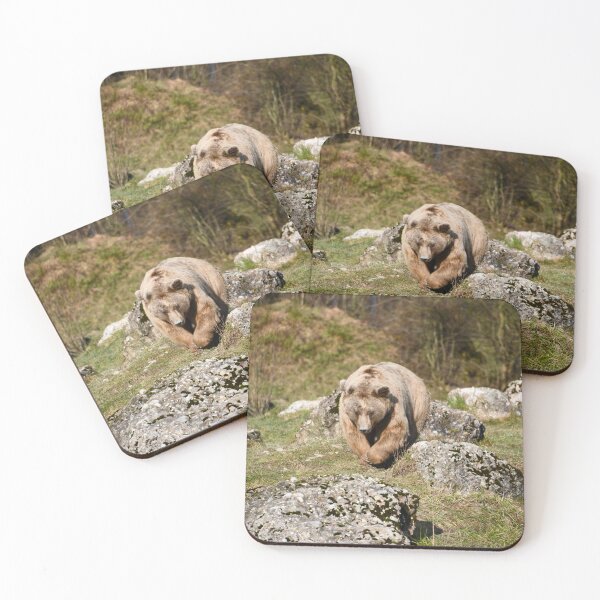 Item preview, Brown bear in the wild – Leisurely path through rocks / Swiss Artwork Photography designed and sold by Raphael Wolf.