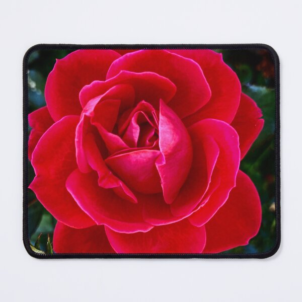 Item preview, Double Knockout designed and sold by Savage Arts.