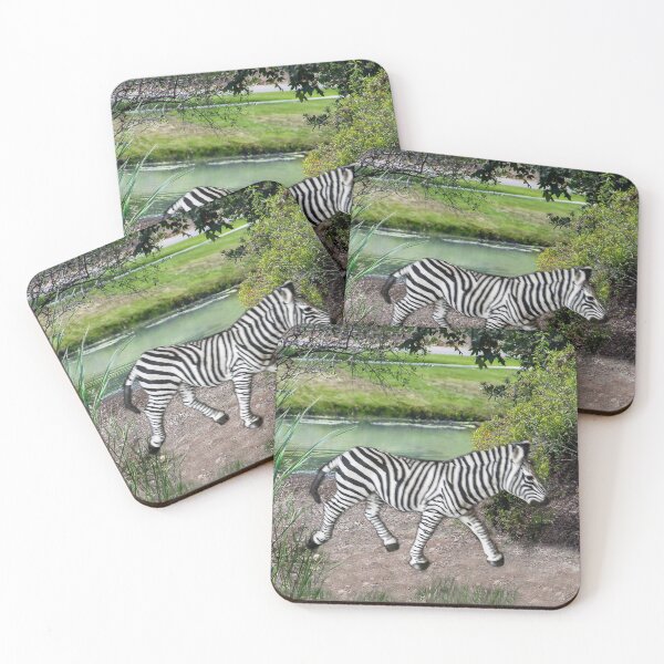 Item preview, Zebra at Lake Murray, San Diego, California designed and sold by heatherfriedman.