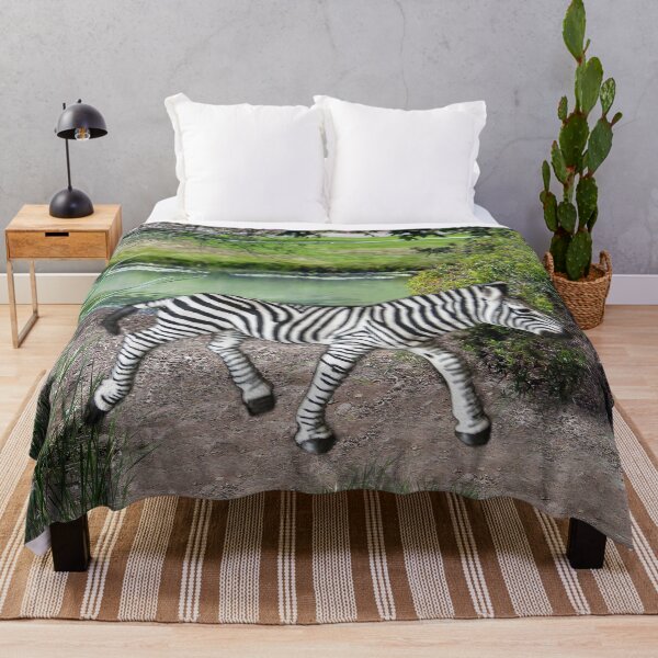 Item preview, Zebra at Lake Murray, San Diego, California designed and sold by heatherfriedman.