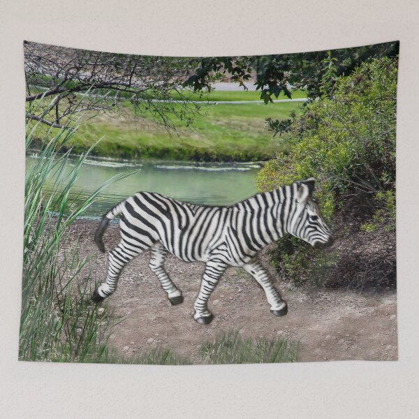 Item preview, Zebra at Lake Murray, San Diego, California designed and sold by heatherfriedman.