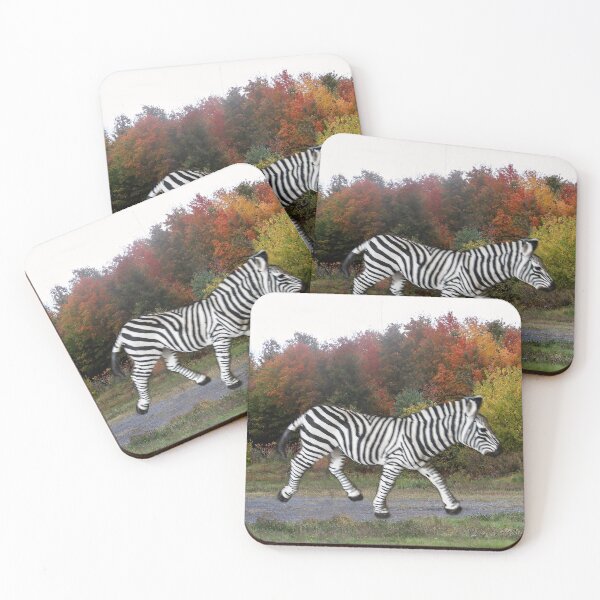 Item preview, Zebra in Quebec, Canada designed and sold by heatherfriedman.
