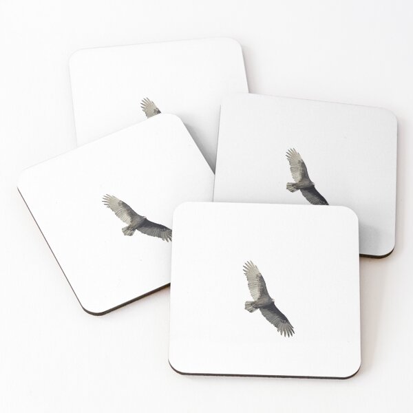 Item preview, Isolated Turkey Vulture 10-16-24-2  designed and sold by Thomasyoung.
