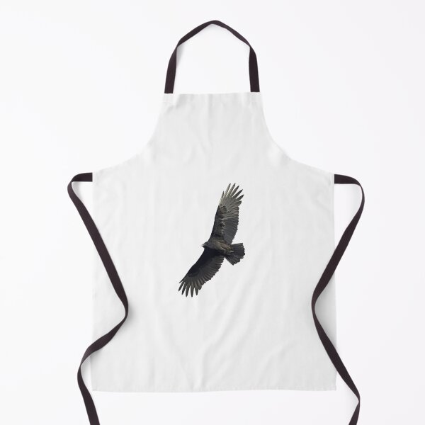 Item preview, Isolated Turkey Vulture 10-16-24-3 designed and sold by Thomasyoung.