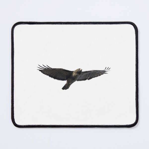 Item preview, Isolated Red-tailed hawk 10-16-2024 designed and sold by Thomasyoung.