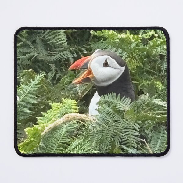 Item preview, Skomer Island Puffin designed and sold by Neil Evans.